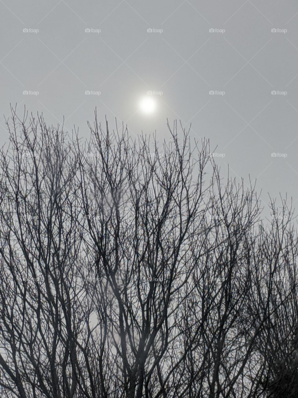 Beautiful Morning 🌅 Morning is the beginning of new hopes , do the best and be happy 😊❤️