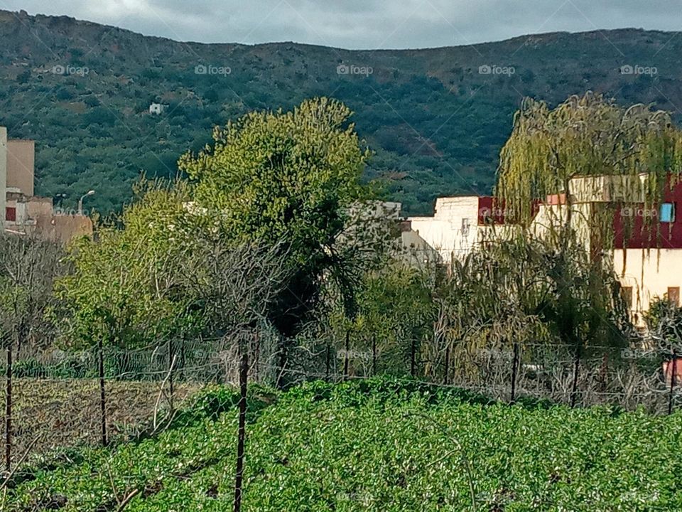 Population between the nature