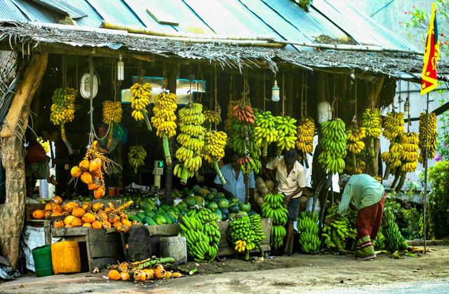 Fruit market