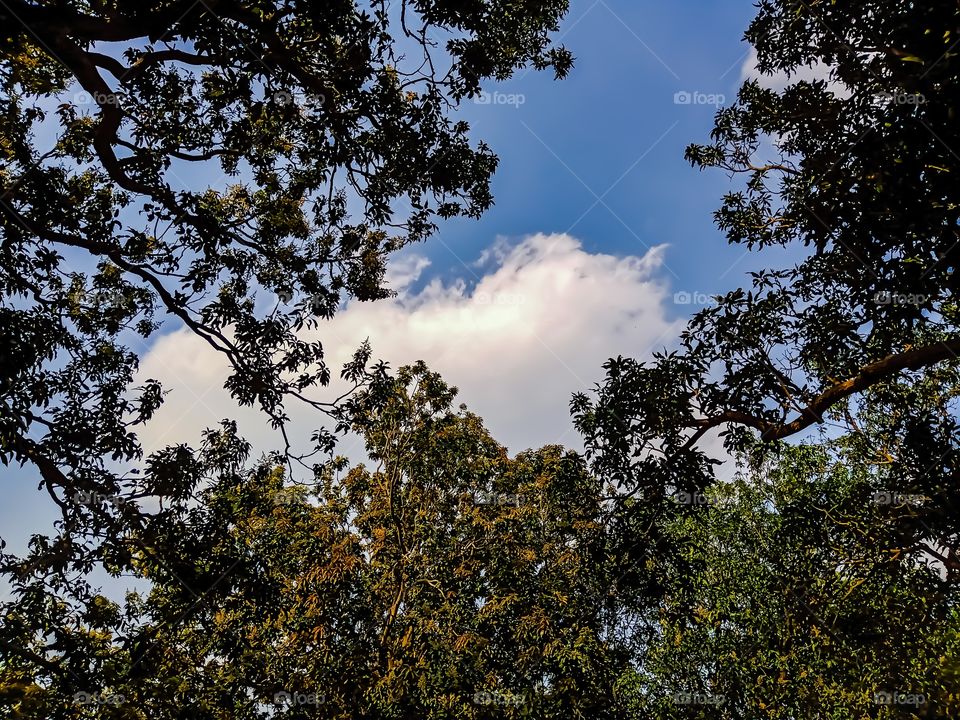 Beautiful sky and cloud awesome image india