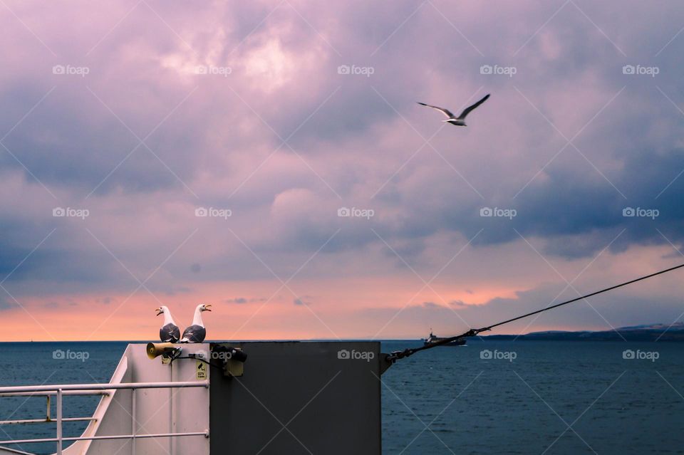 Two gulls  call their friends to sit next to them on a boat, under the cloudy sky