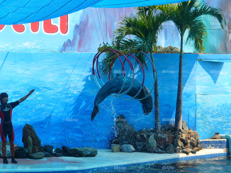 Swimming, Dug Out Pool, Water, Tropical, Ocean