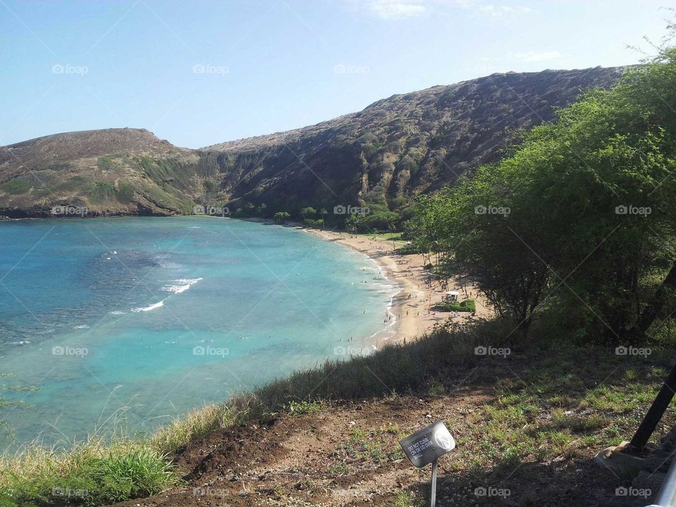 Beach and Cliffs