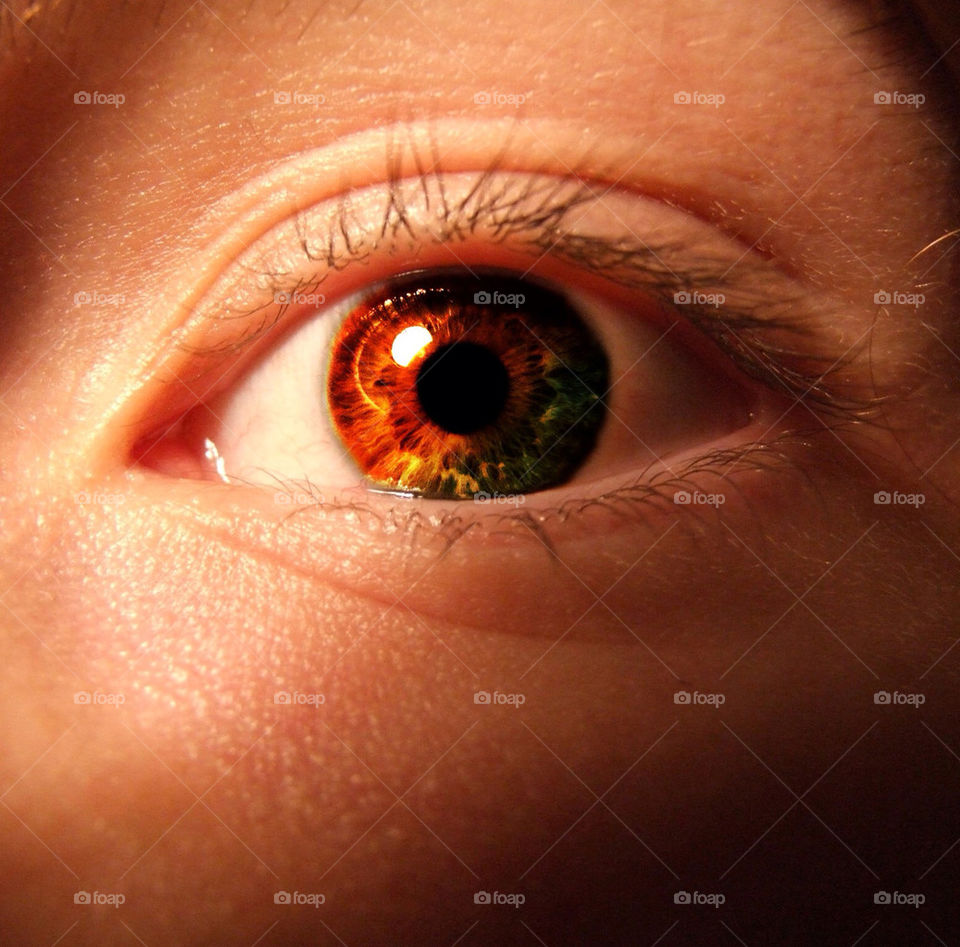 macro colors eye close up by AveryPeake