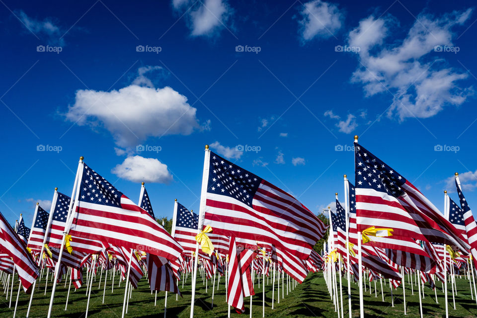 Field of Honor