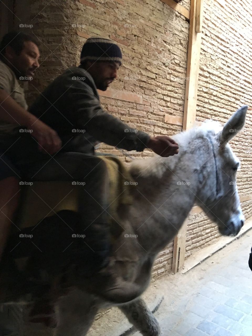 People, Mammal, One, Man, Adult