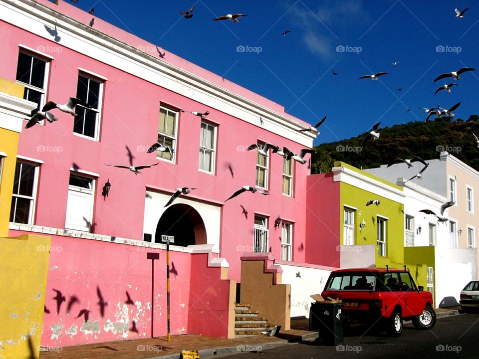 Colorful houses, Bo-kaap, Cape town