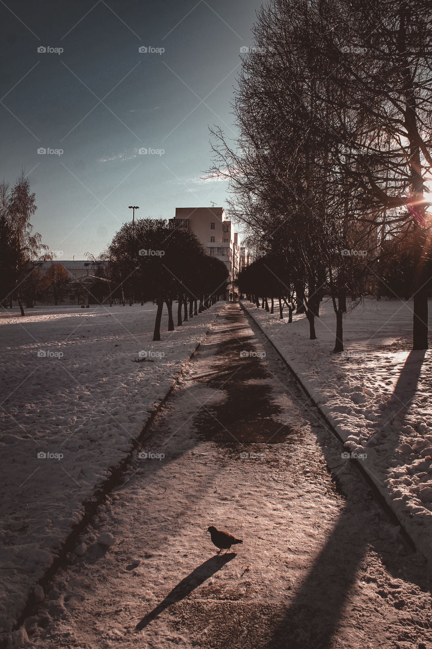 Parks and streets of Yekaterinburg