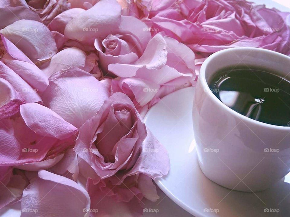 Roses and coffee via Saudi Arabia