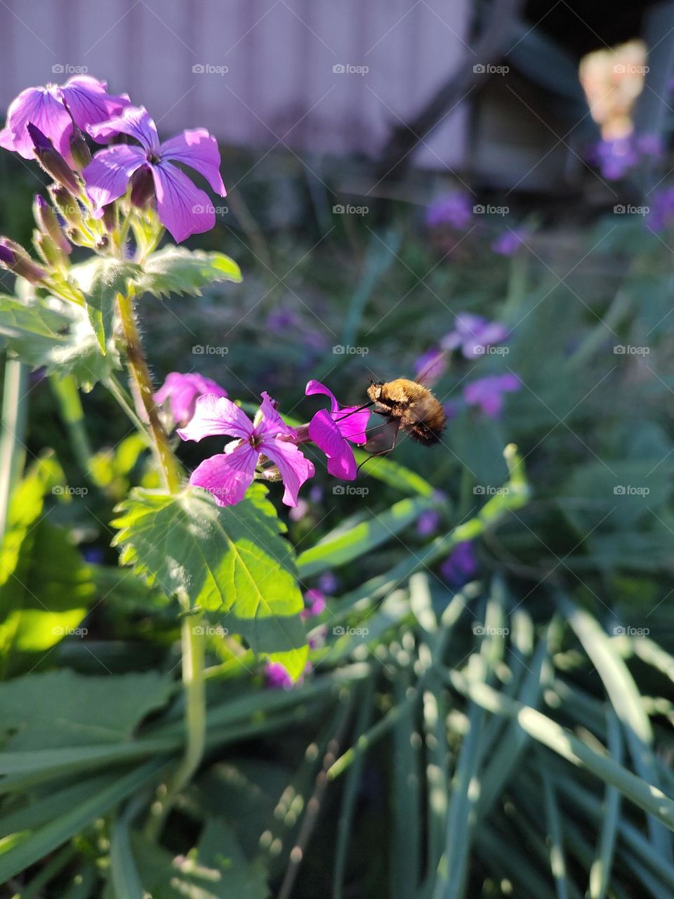 Spring time 🌼🌼🌼 sunny day