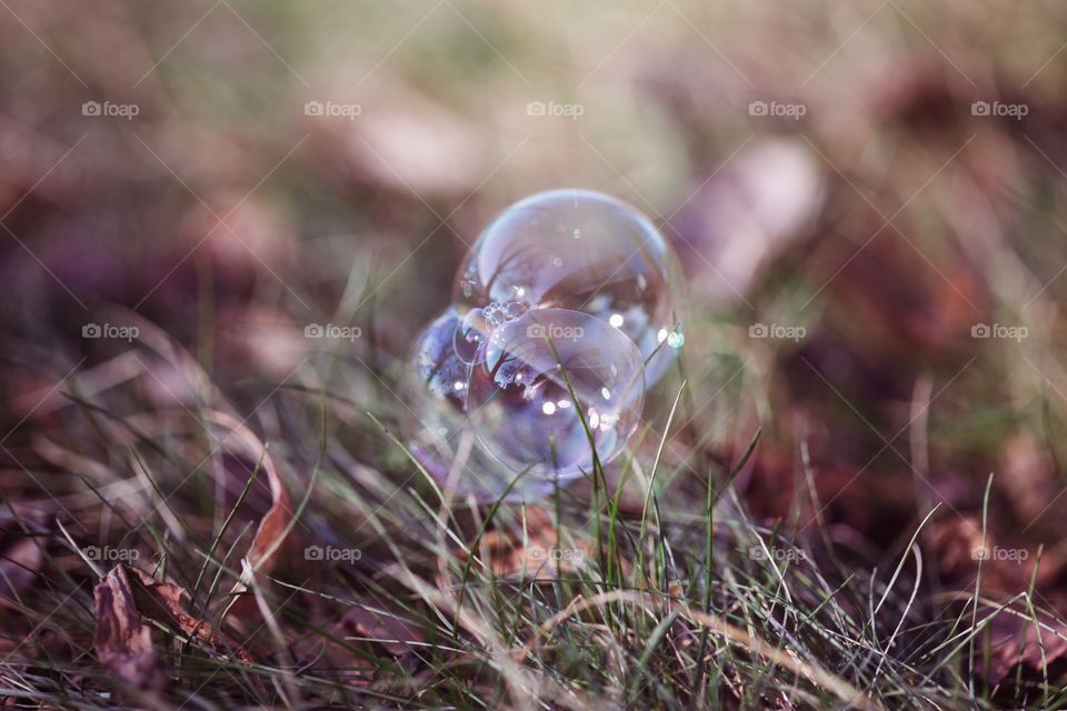 Bubbles on ground 