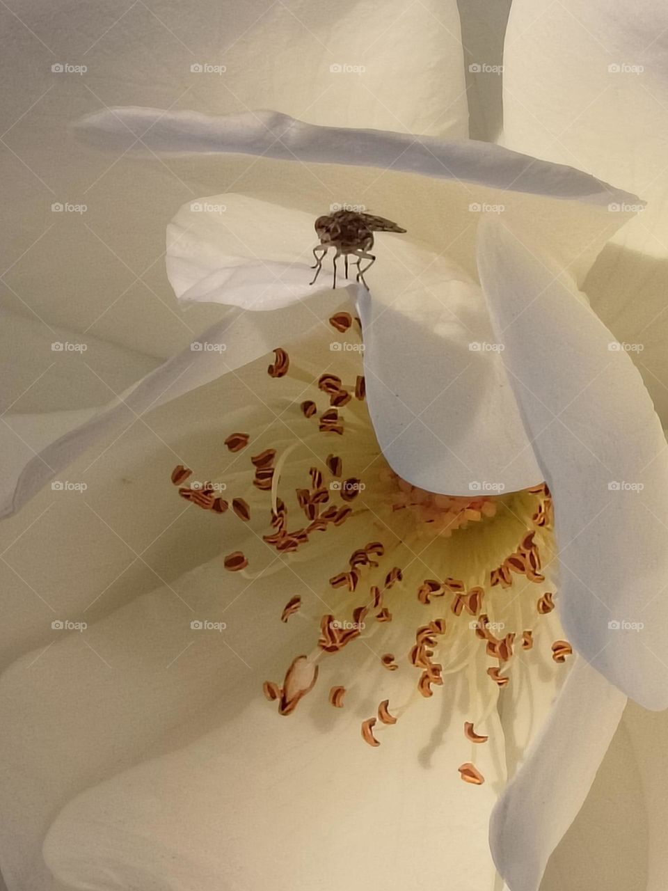 upload the best photo of the month