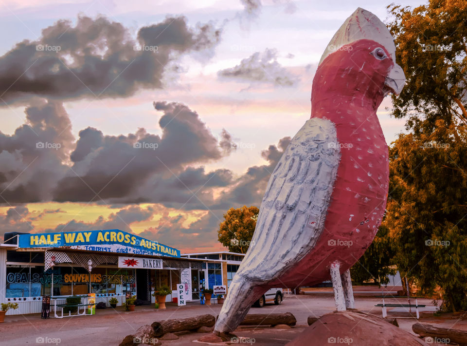 Halfway Across Australia