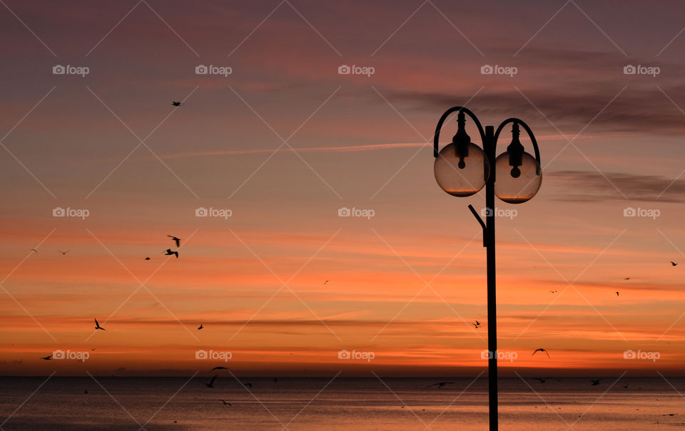 Sunset, Beach, Sea, Sun, Dawn