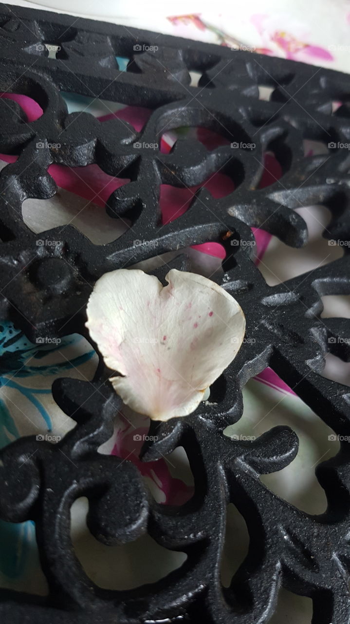 heartshaped rose petal