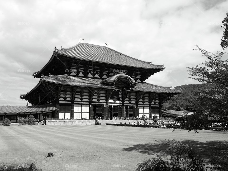 View of Todaiji Temple