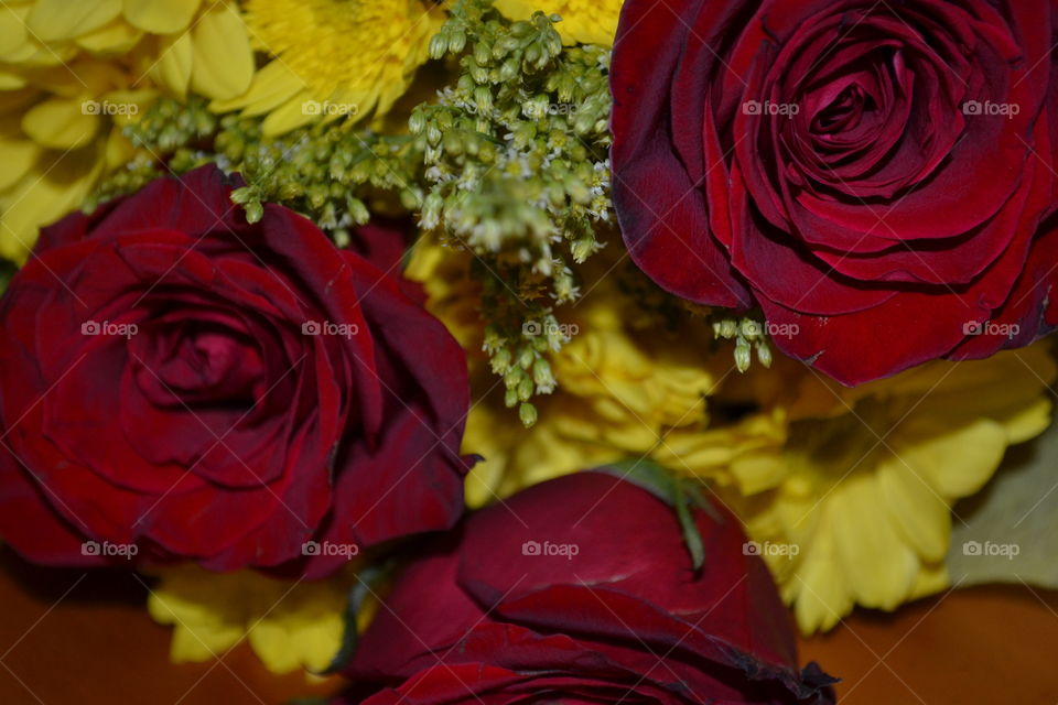 A closeup of red roses mixed with yellow flowers and baby’s breath