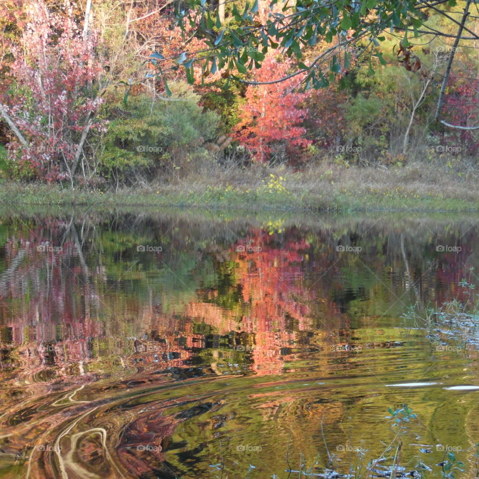 Reflections  of fall