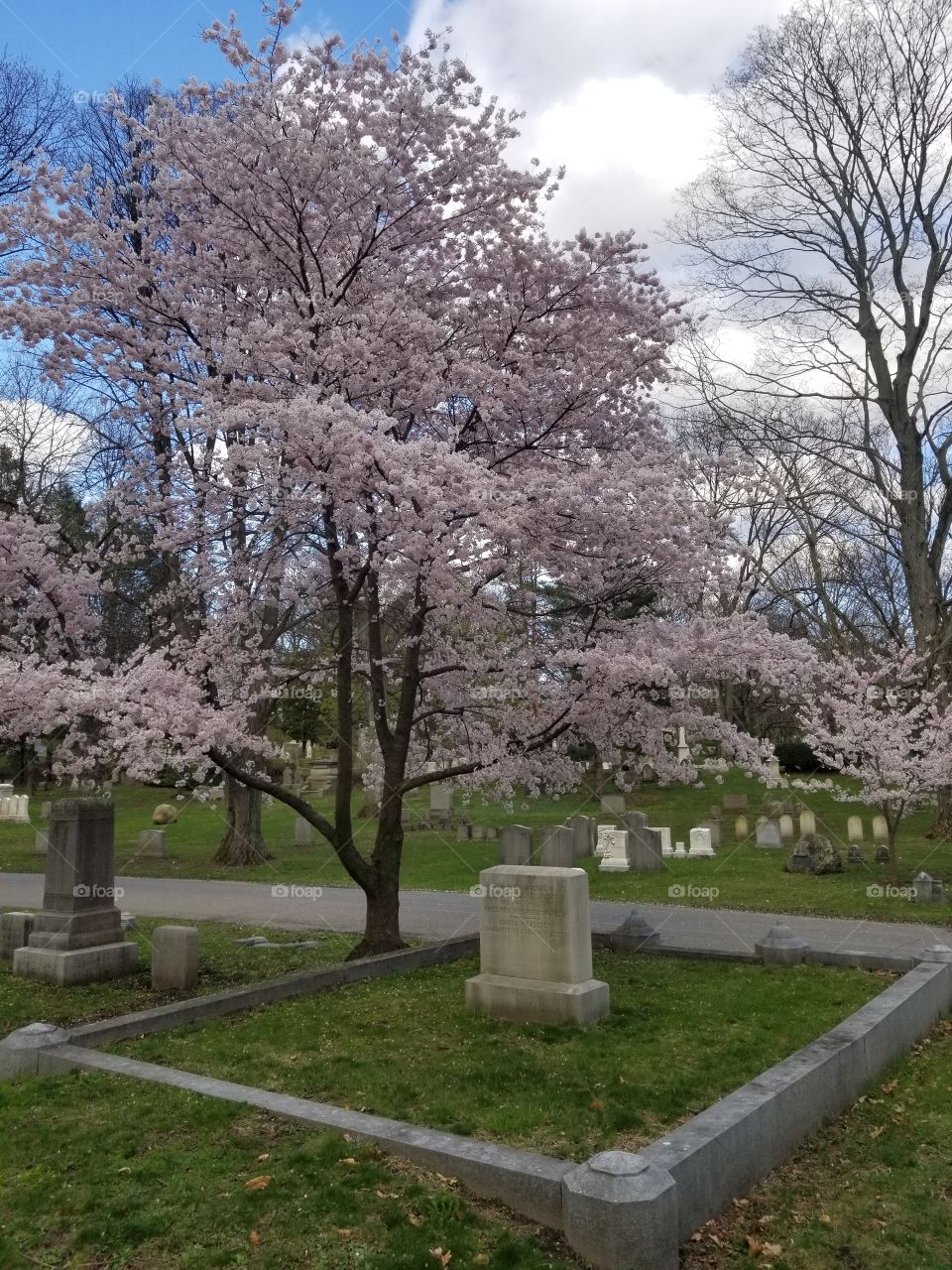 Mount Hope Cemetery