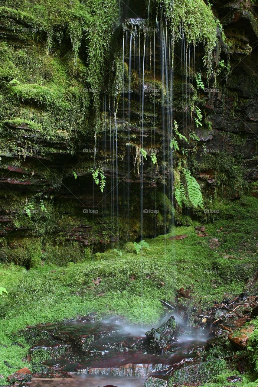Lush Tranquil Waterfall