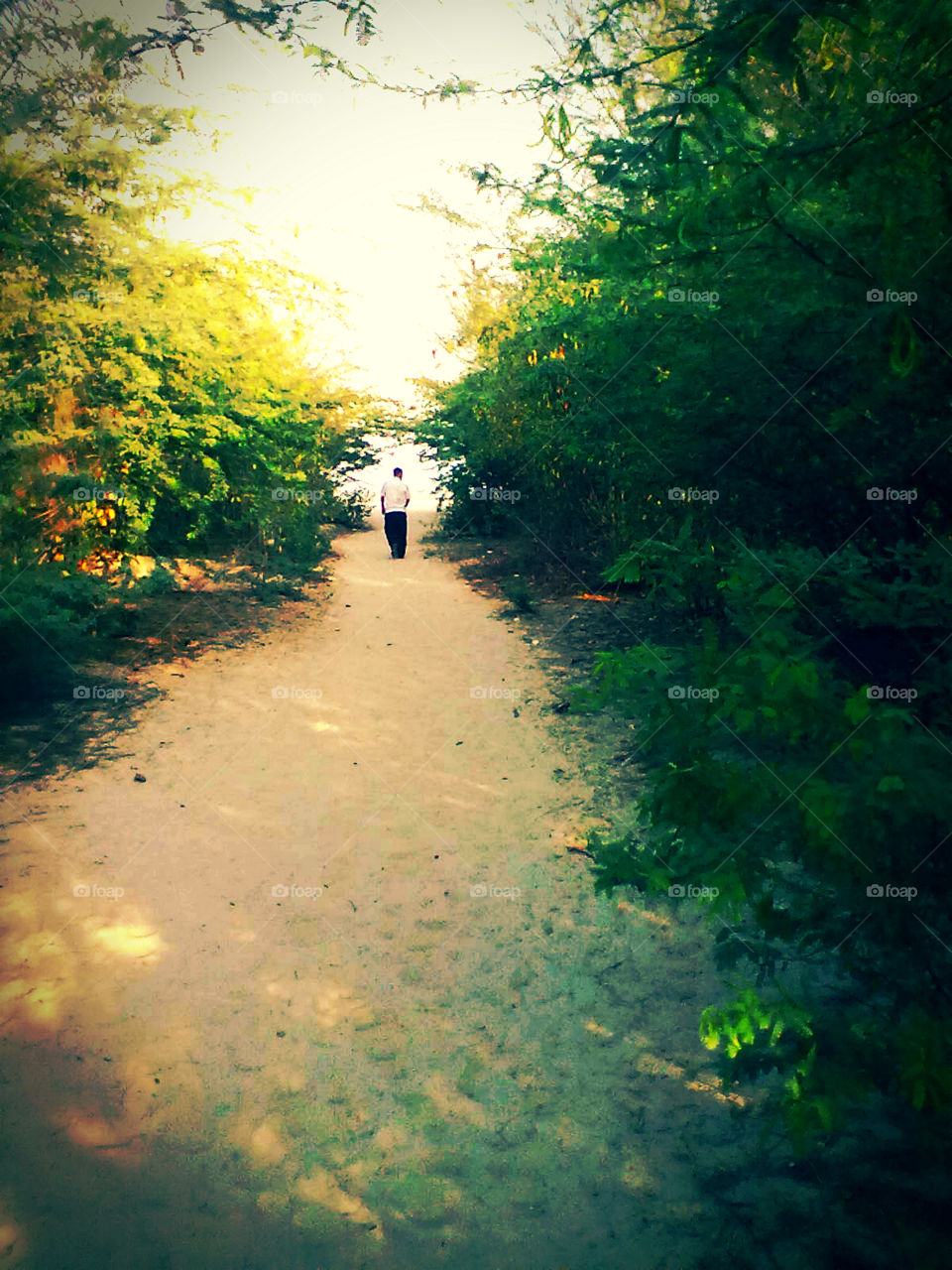 A person taking a stroll. "An early morning walk is a blessing for the whole day" . From A to B. 🚶