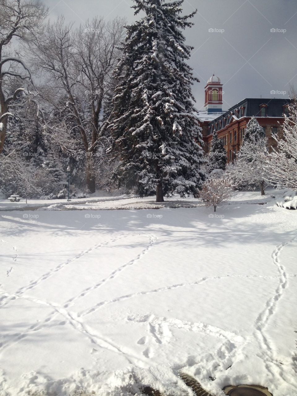 Snow covered campus 