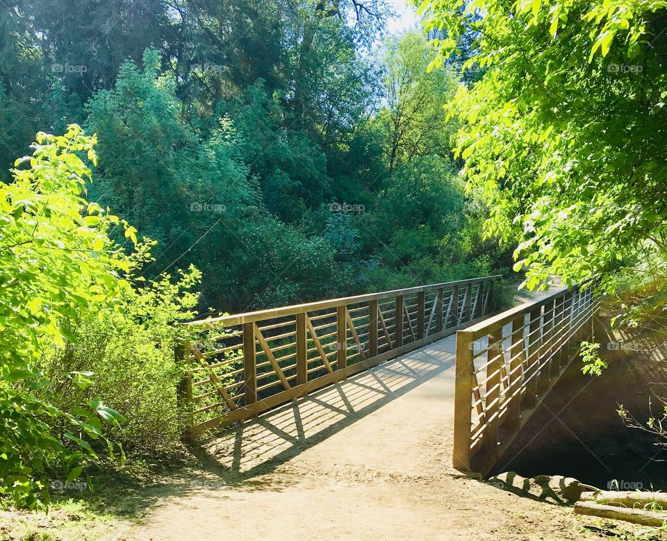 Bridge over untroubled waters