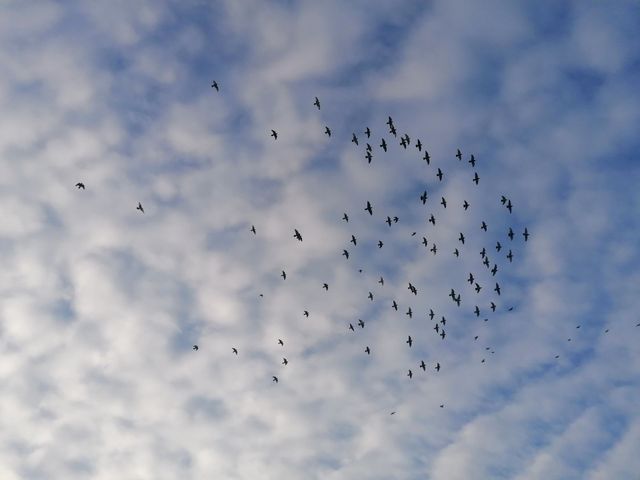 Autumn view of the sky