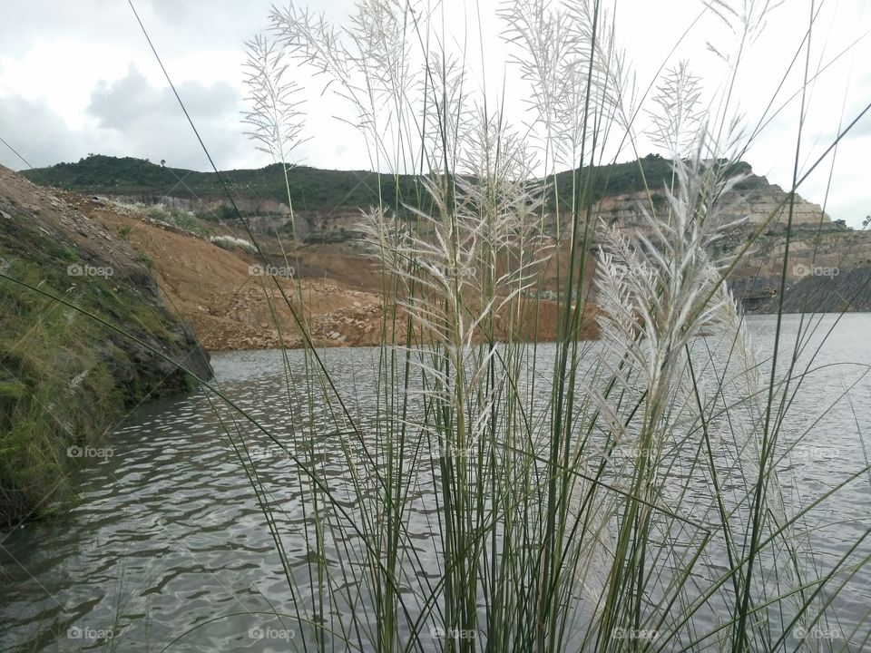 Grass in the valley with her flowers and waving water.