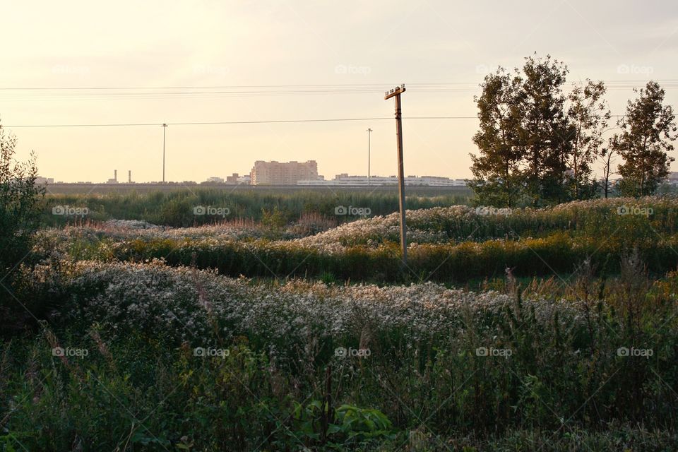 Countryside, sunset 