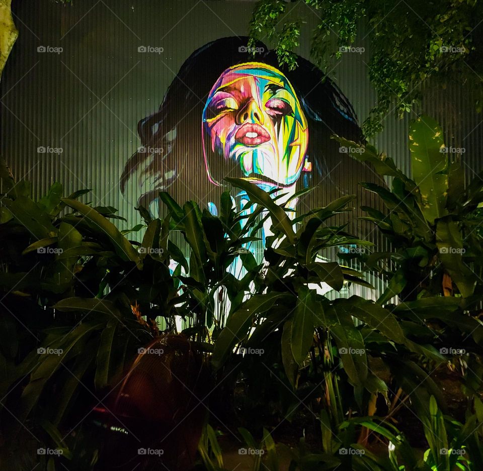 night view of a beautiful lady wall art