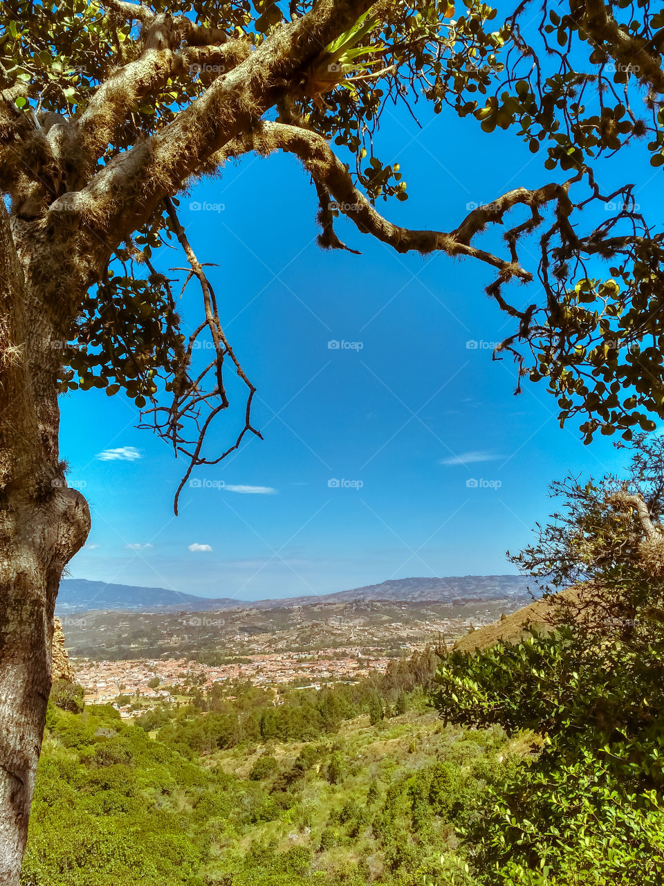 Beautiful morning landscape near to Villa de Leyva Boyacá Colombia