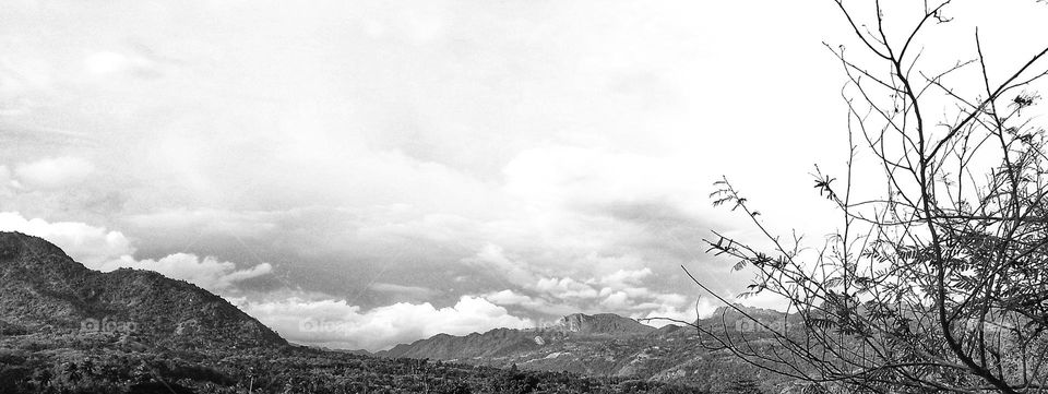 Battle: Black & White vs Color