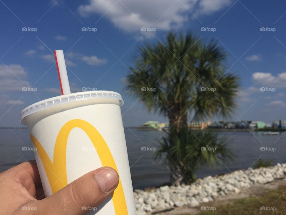 Mc Donald's Cup Palm Trees Beach Ocean
