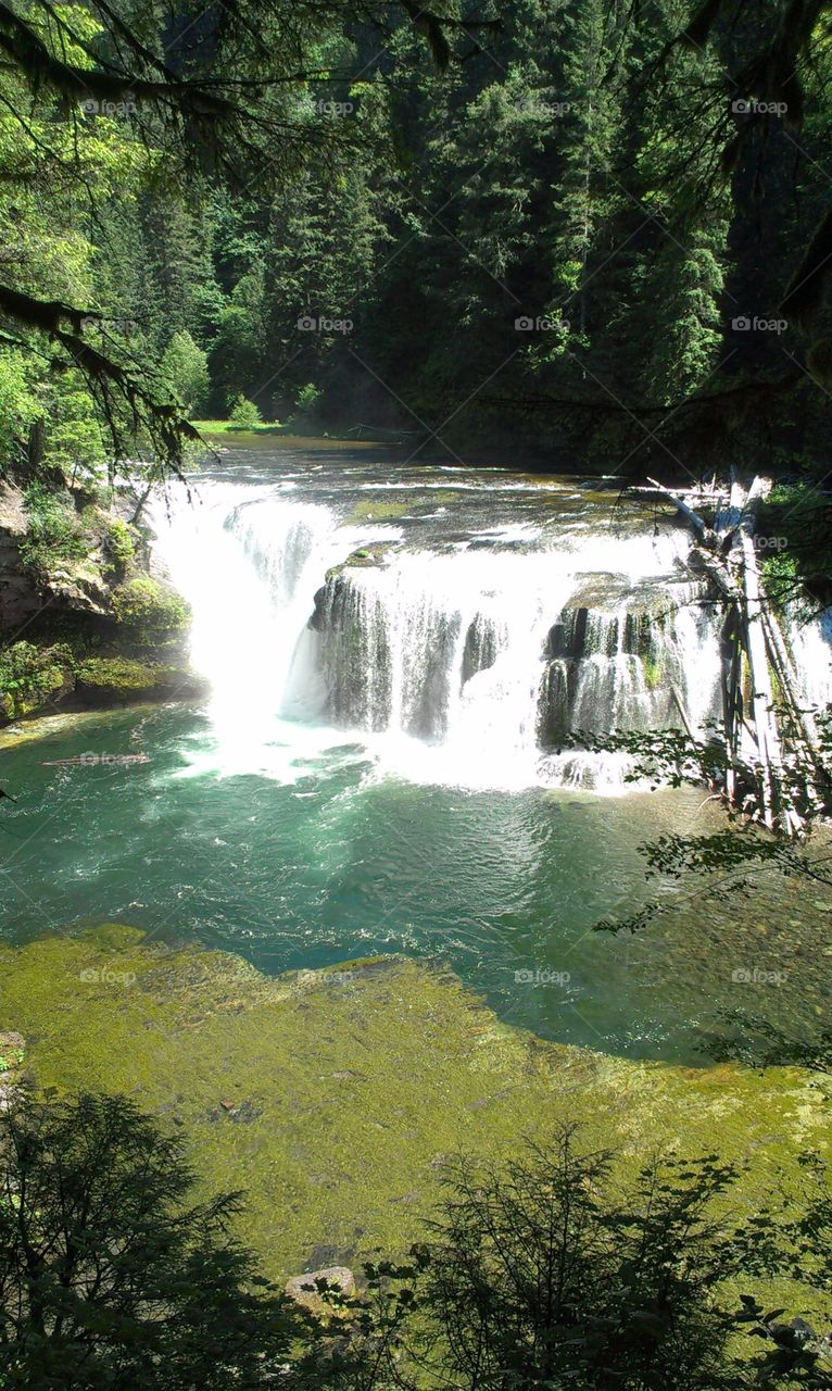 waterfall. a waterfall in Oregon.