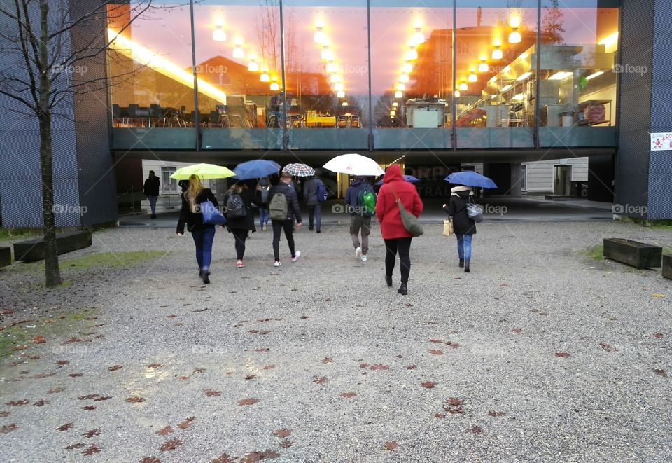 people with umbrellas walking into university