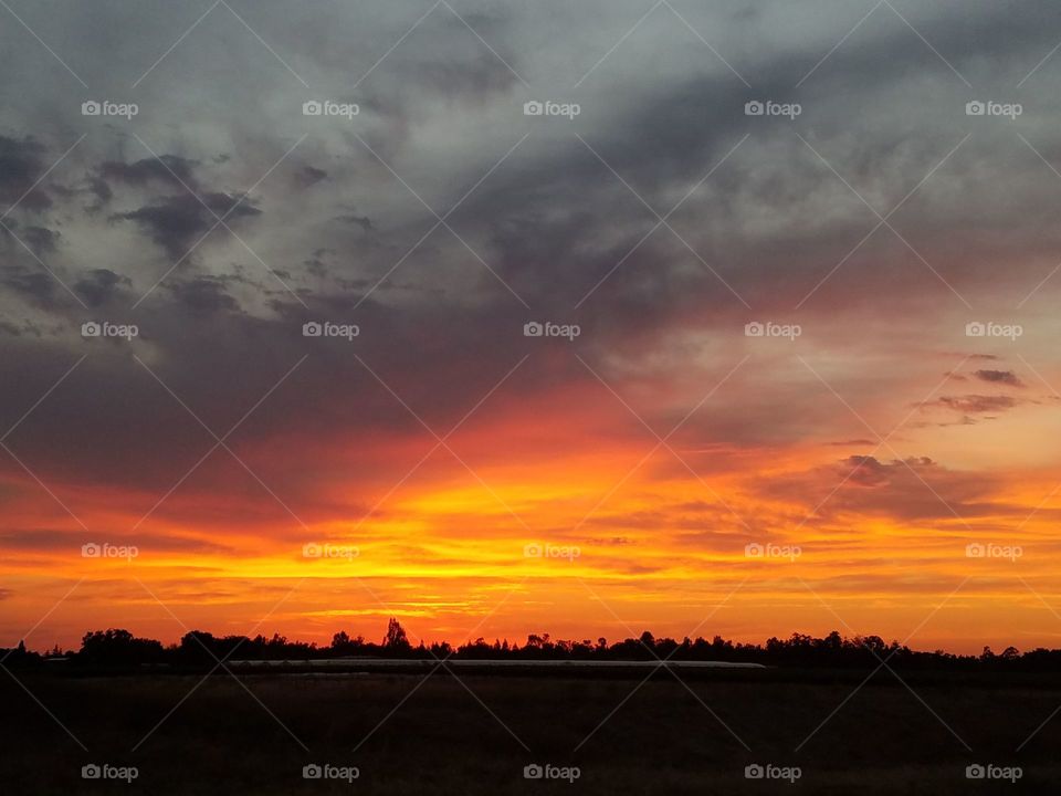 Orange sunset over the Delta!
