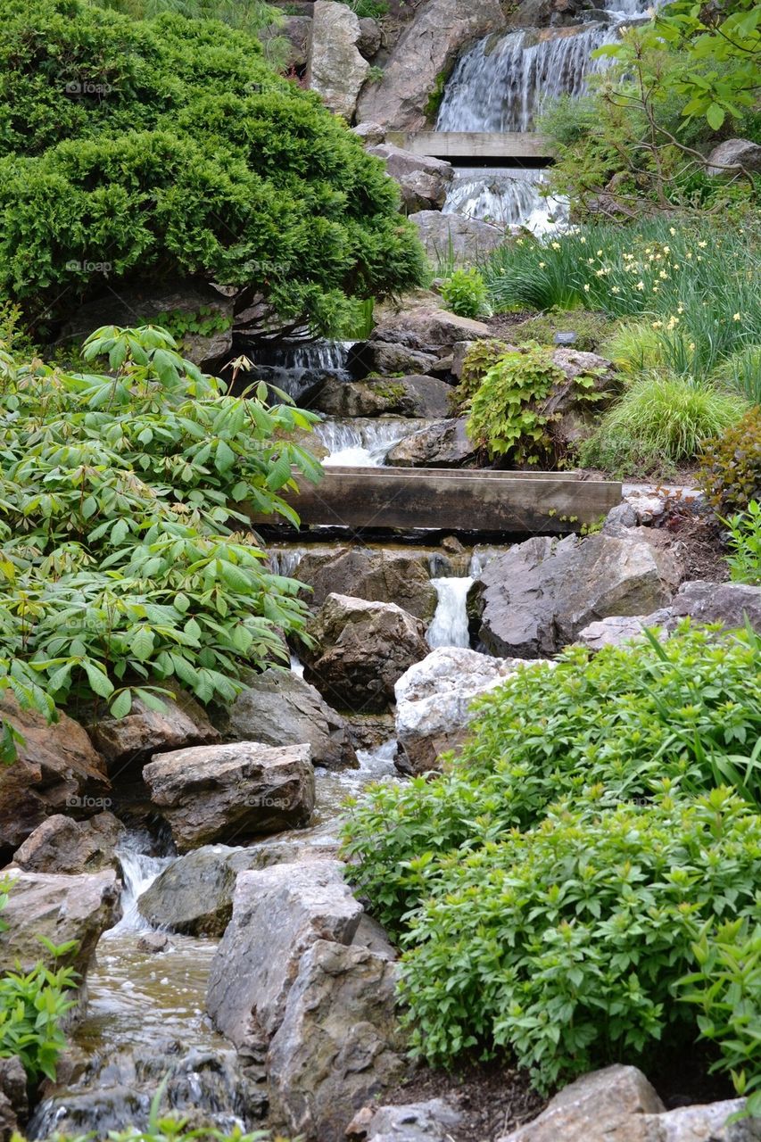 Japanese Waterfall