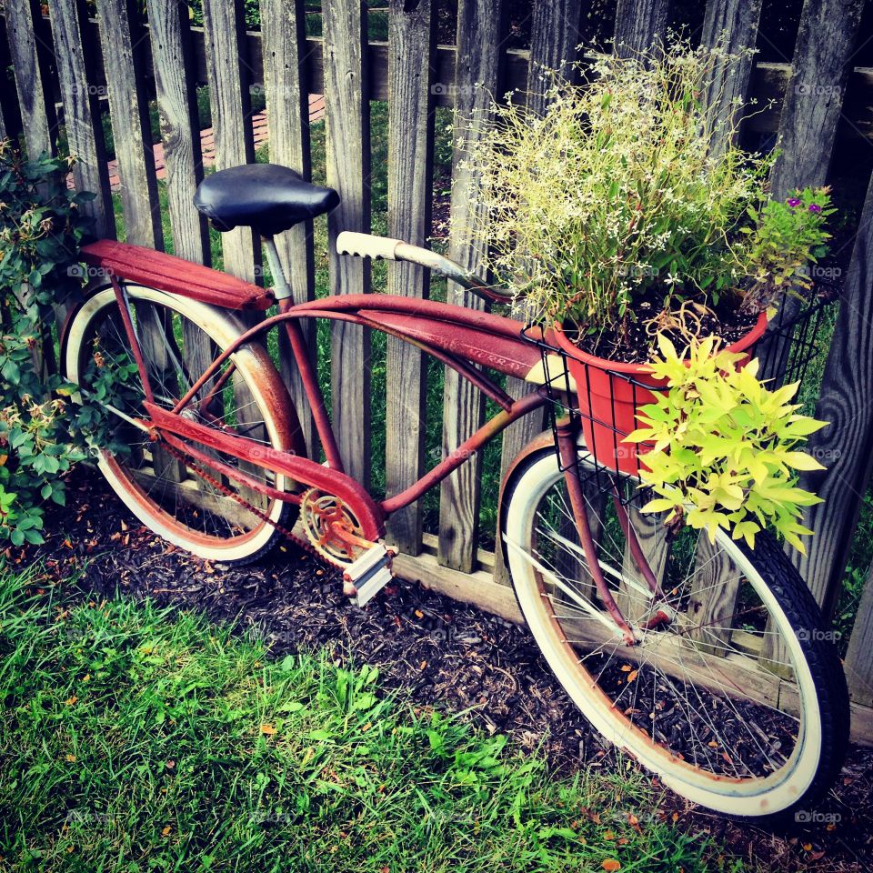 Vintage bike in garden 