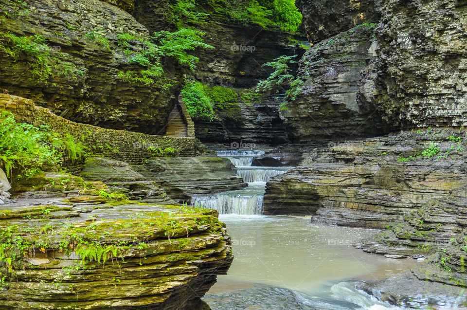 Deep in the Gorge