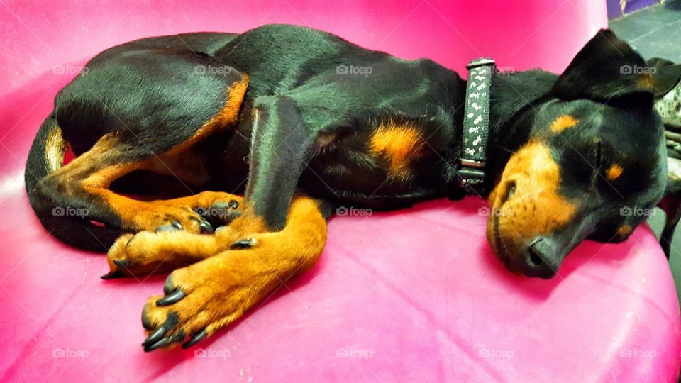 So fericious at 9 Lbs