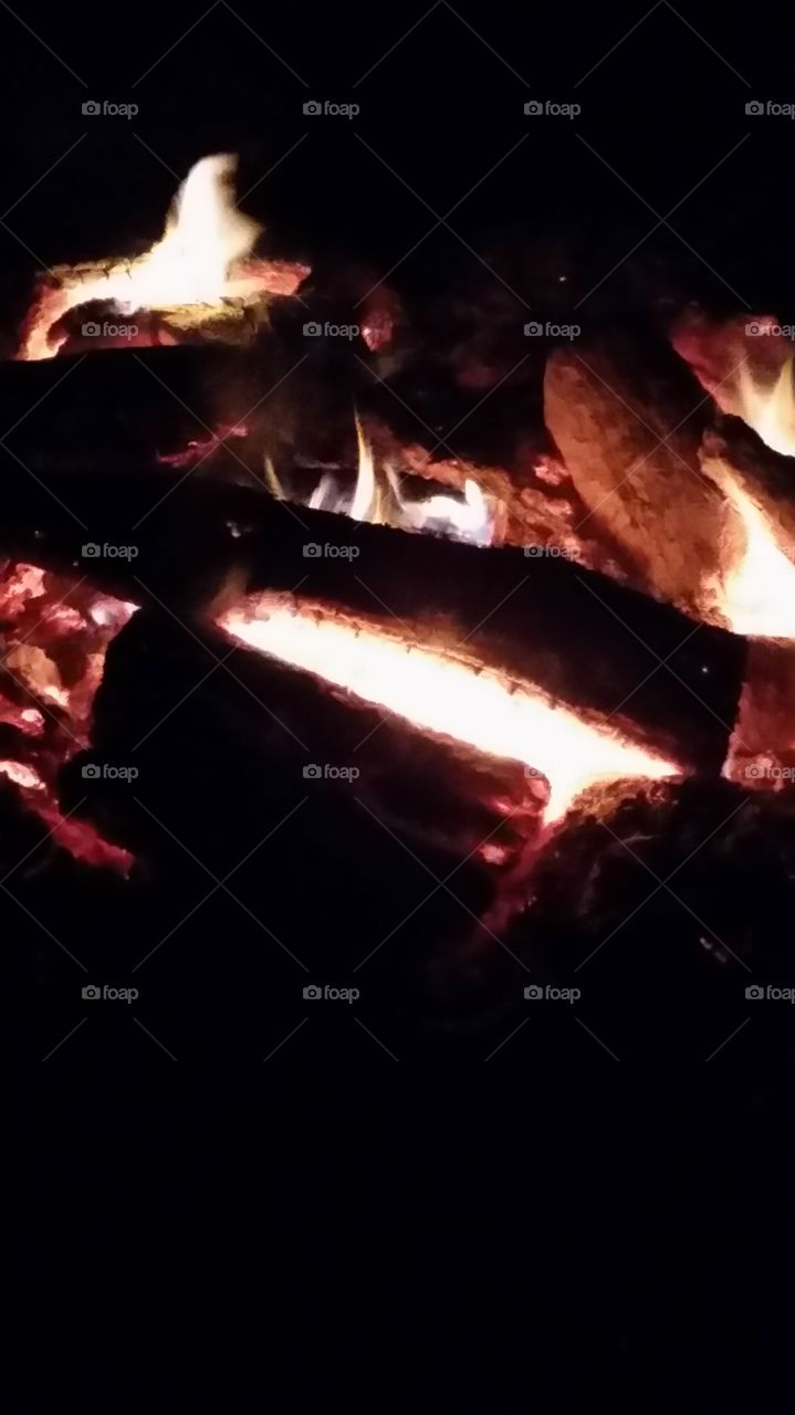 Fire in a log