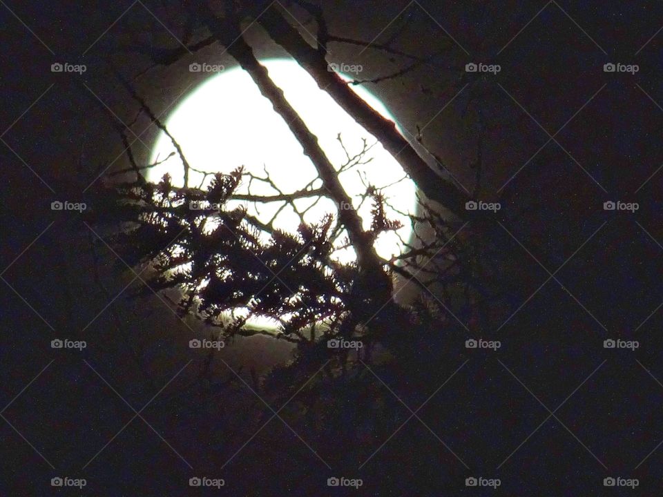 Full moon