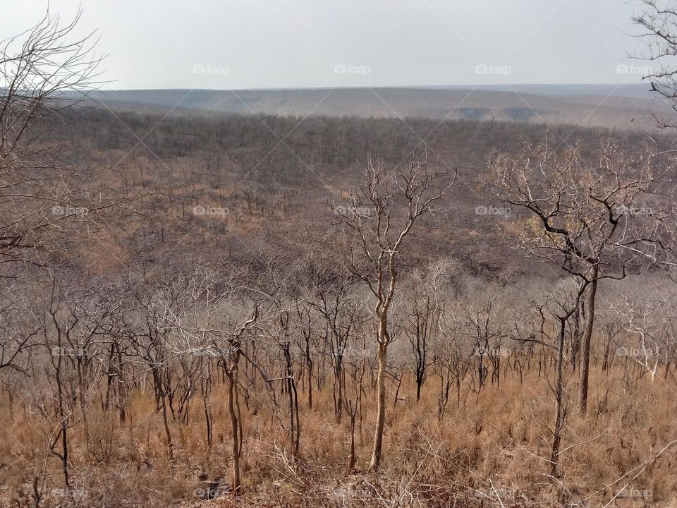 mountain view location