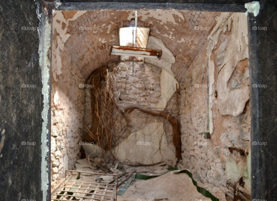 A cave-like room with decaying walls and tee branches growing through it and an old metal bed frame and hanging light fixture