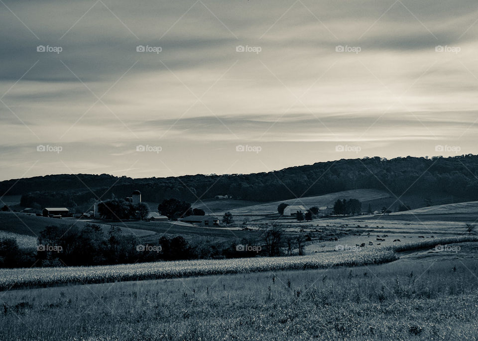 black and white farm landscape in the fall