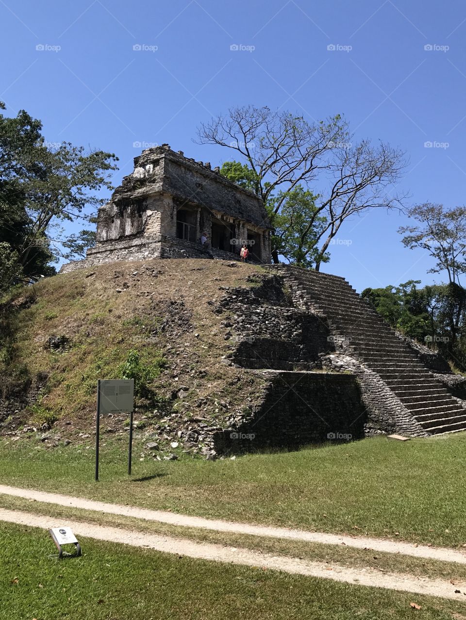 Palenque Mayan Ruins Mexico