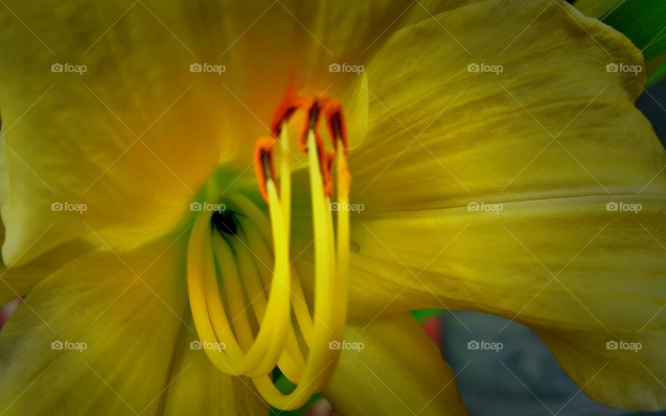 early signs of spring