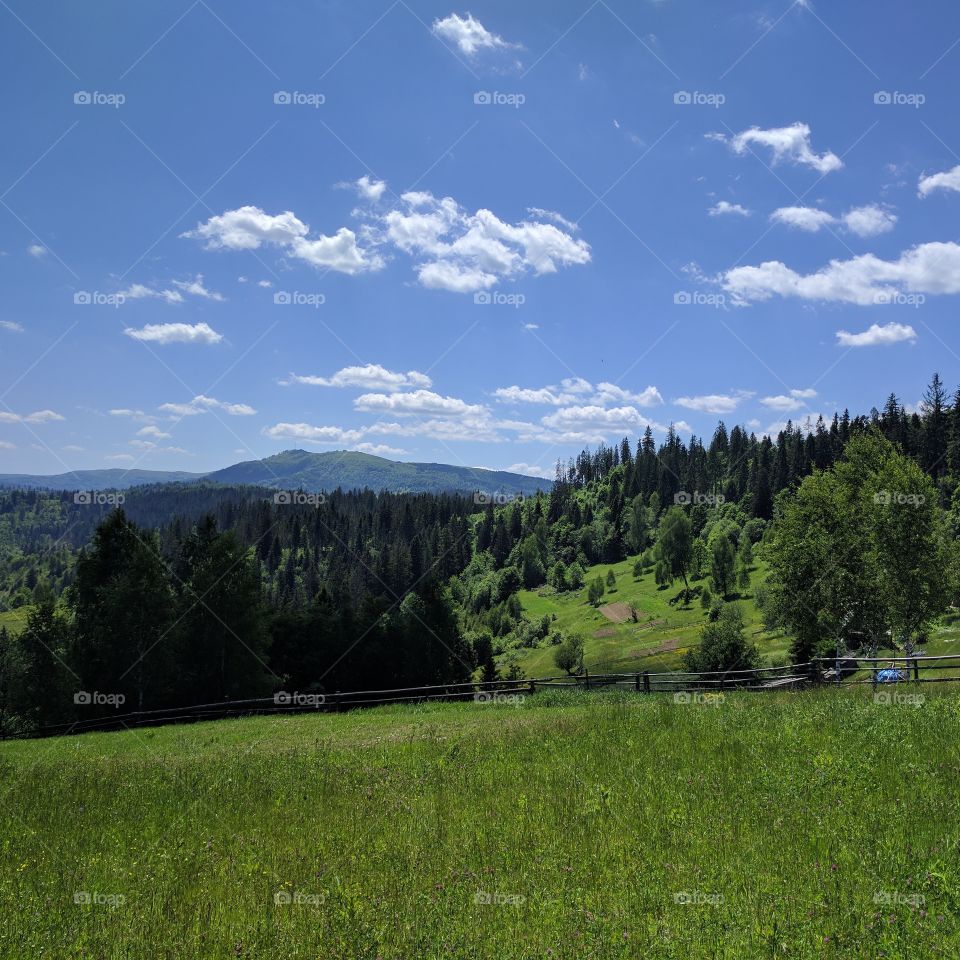 Carpathian mountains landscape