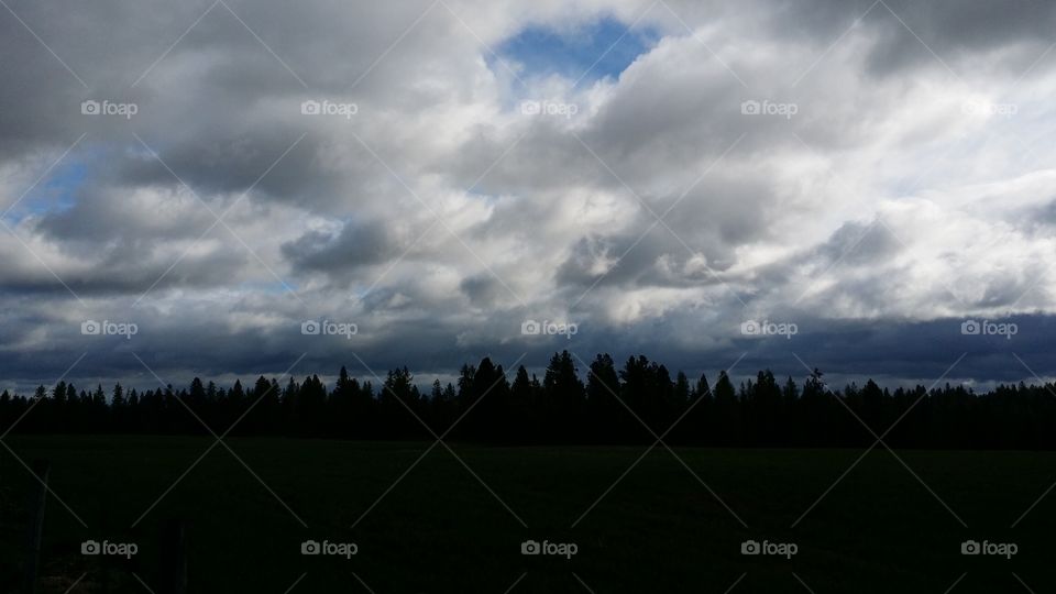 Cloudy sky over the forest.